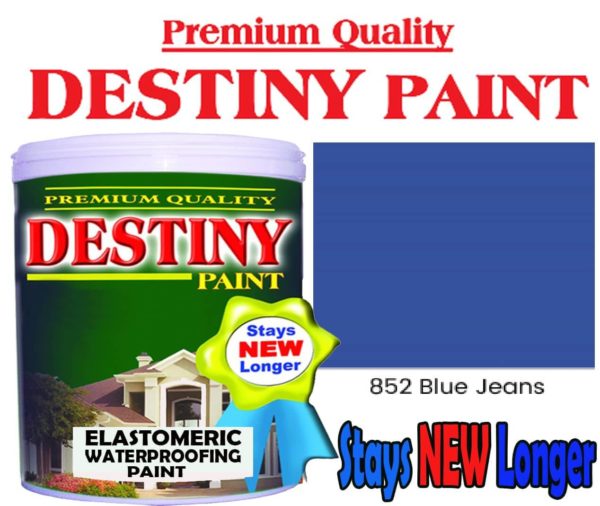 Destiny Blue jeans1