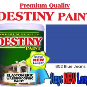 Destiny Blue jeans1