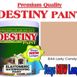 Destiny Lady Candy 1