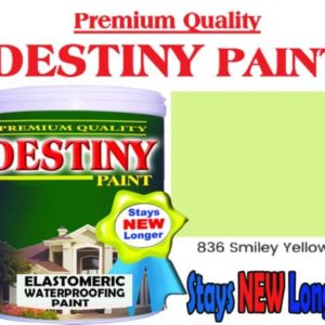 Destiny Smiley Yellow (1)